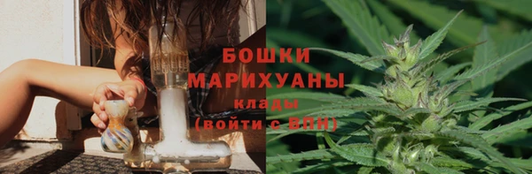 сатива Зерноград