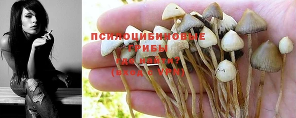 сатива Зерноград