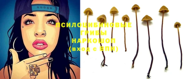 стаф Зеленокумск