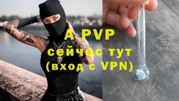 сатива Зерноград