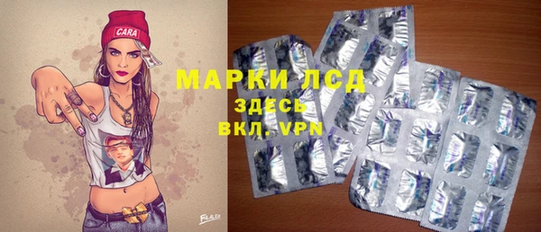 сатива Зерноград
