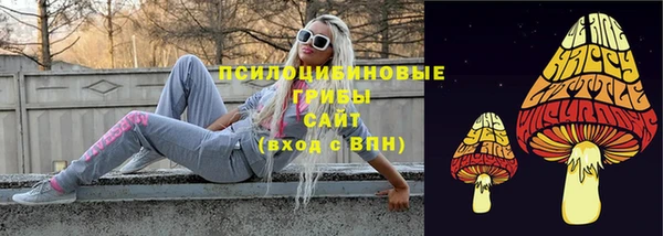 стаф Зеленокумск