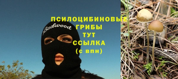 стаф Зеленокумск