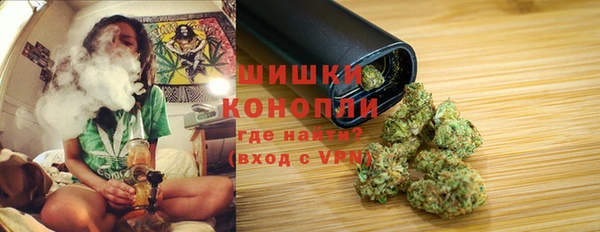 стаф Зеленокумск