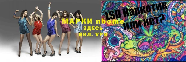 стаф Зеленокумск