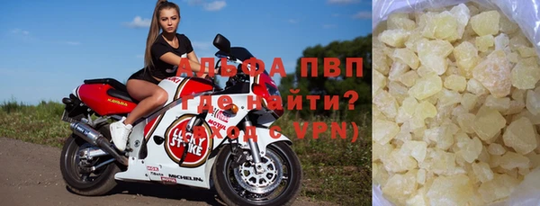 сатива Зерноград