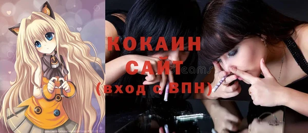 стаф Зеленокумск
