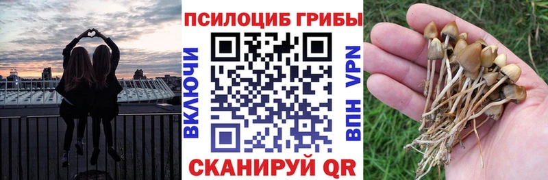 Галлюциногенные грибы мицелий  Купить закладки  Минеральные Воды 